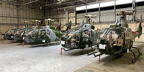 Gazelles in a hangar